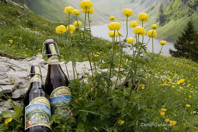 appenzell-beer Аппенцель (Appenzell), Швейцария - путеводитель по городу от ZurichGuide.org, фото. Как добраться в Аппенцель, что посмотреть в Аппенцеле, кухня Аппенцеля