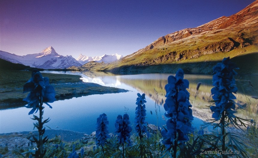 Grindelwald-bachalpsee Горнолыжный курорт Гриндельвальд (Grindelwald), Швейцария - как добраться, транспорт из аэропорта Цюриха и Женевы, фото, горнолыжные трассы, что посмотреть