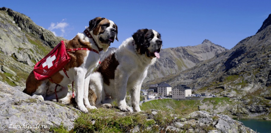 Martigny-St Bernard Мартиньи (Martigny), Швейцария - путеводитель по городу, что посмотреть в Мартиньи, достопримечательности. Как добраться в Мартиньи - расписание, стоимость.