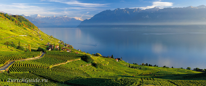 Террасные виноградники Лаво (Lavaux)