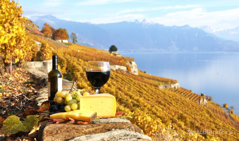Вина региона Лаво Террасные виноградники Лаво (Lavaux)