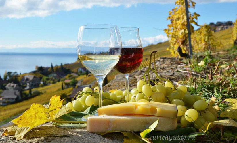 Террасные виноградники Лаво (Lavaux)