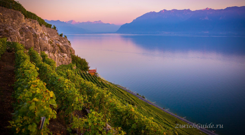 Lavaux vineyards Switzerland Lake Geneva -террасные виноградники Лаво (Lavaux)