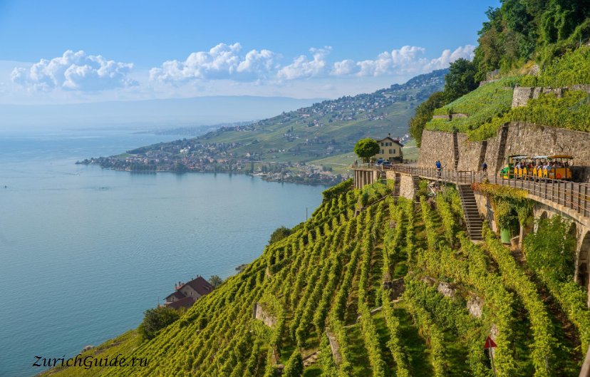 Lavaux vineyards Switzerland Lake Geneva -террасные виноградники Лаво (Lavaux)